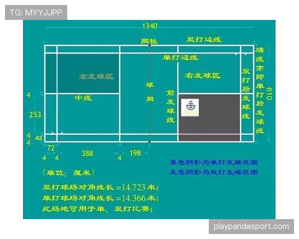 边线发球规则解析：什么情况下从边线发球及实战应用